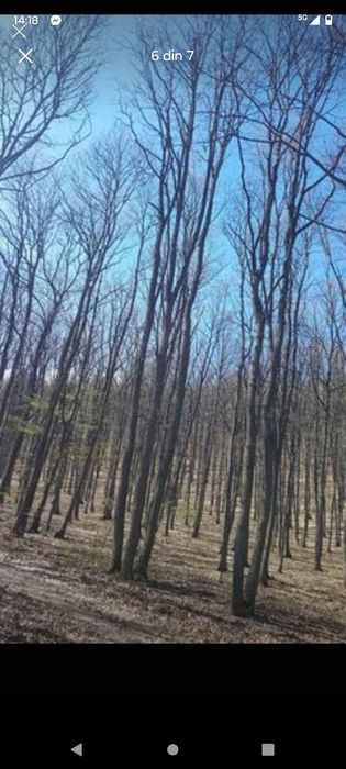 De vânzare Pădure  13 000 Mp,Josani, Peștișu Mic, Hunedoara