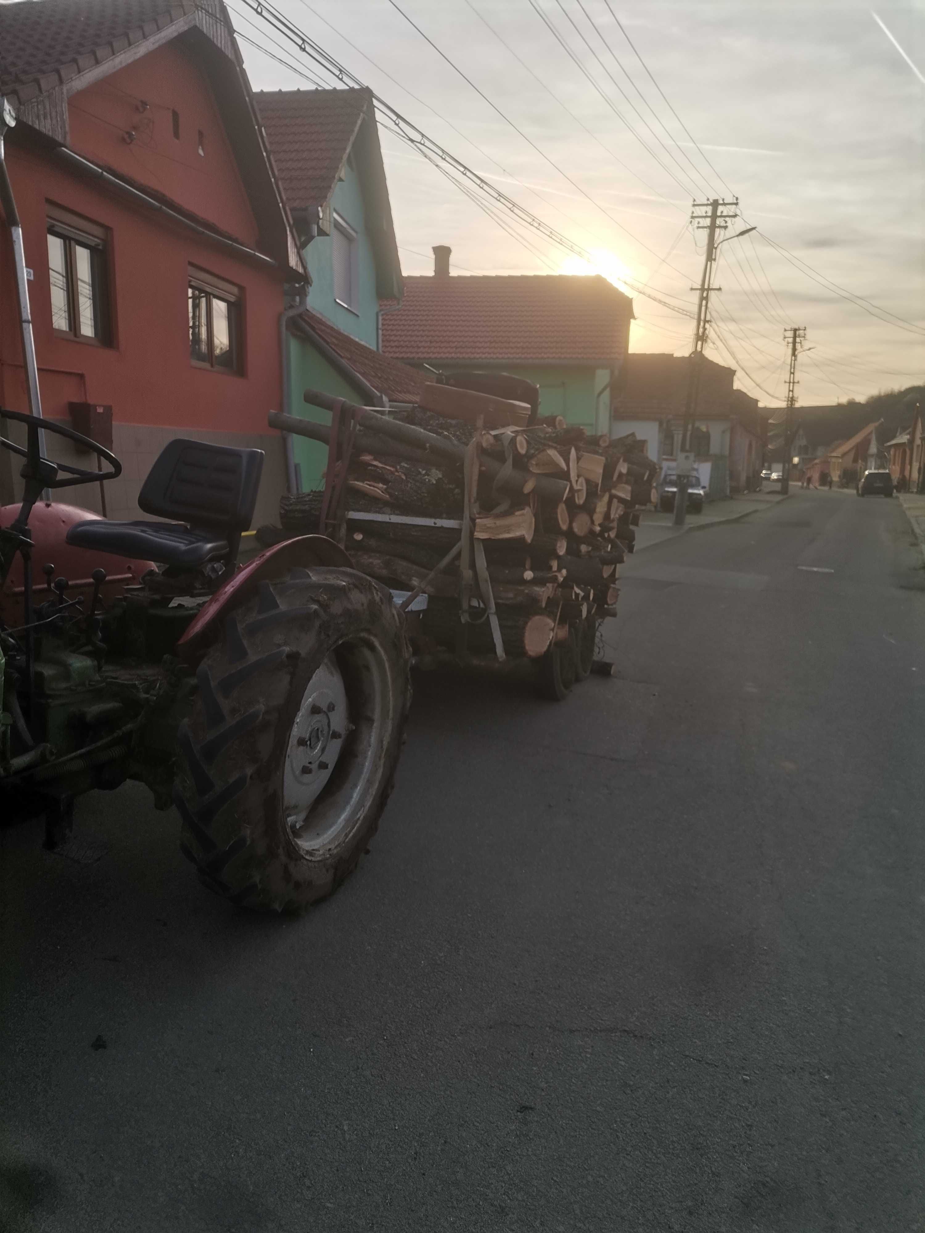 Vind vaca  fătata și un tractoras