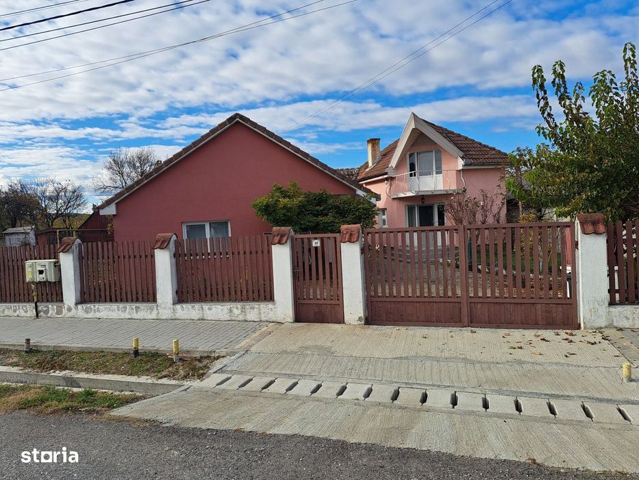 OFERTA in Băcia. Hunedoara ! Proprietate 2 case + Cabană