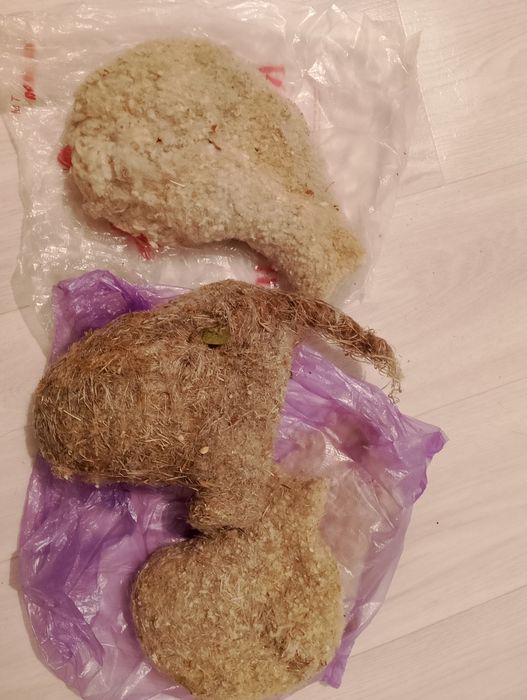 Куркилтайдын уясы