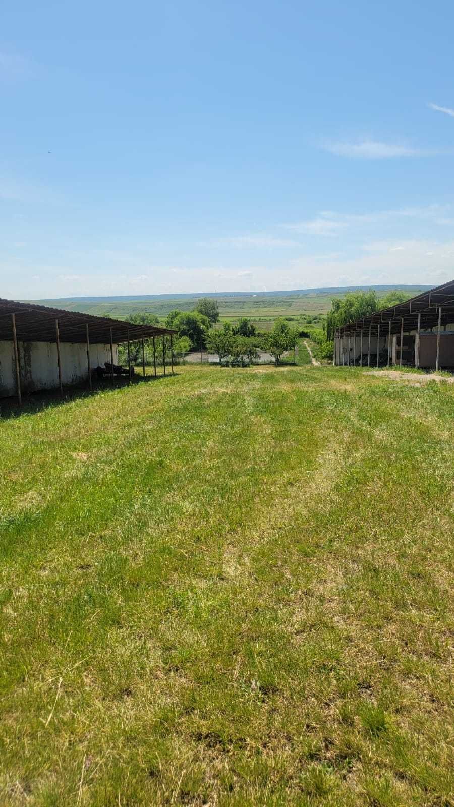 Vand CASA si TEREN in com TIbana, jud Iasi