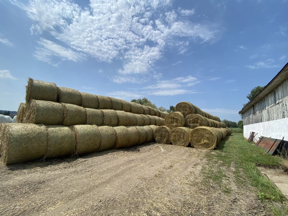 Baloti paie grau 250 kg