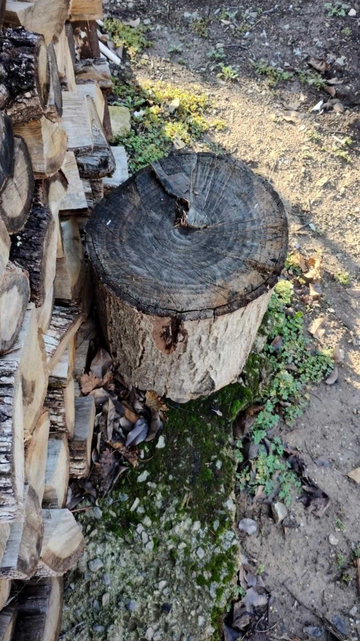 Дънер от орех на трупи