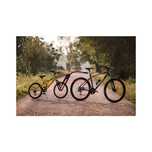 Теглич за Детски Велосипед Peruzzo Trail Angel 300