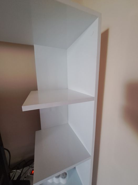 Бяла секция на Виденов