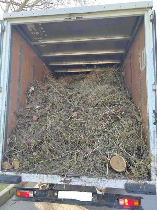 Изхвърляне на растителност 100-500лв (корени, храсти, клони и трева)