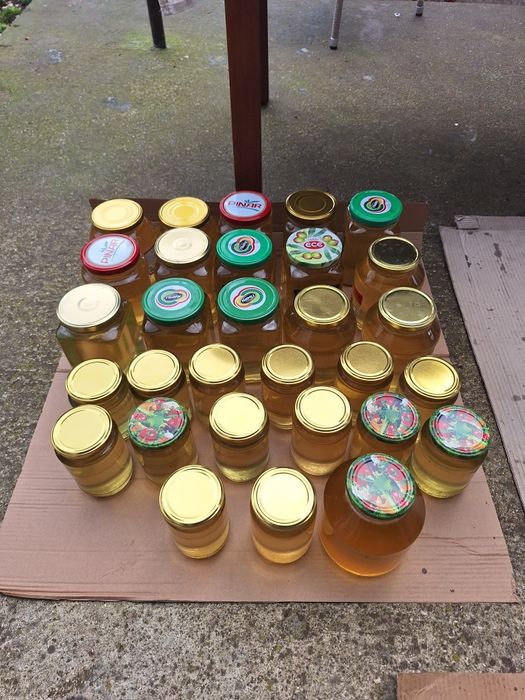 Свинска мас ,домашна (тази годишна)