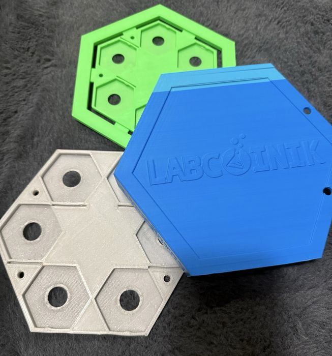 Лабкойни и лабкойник