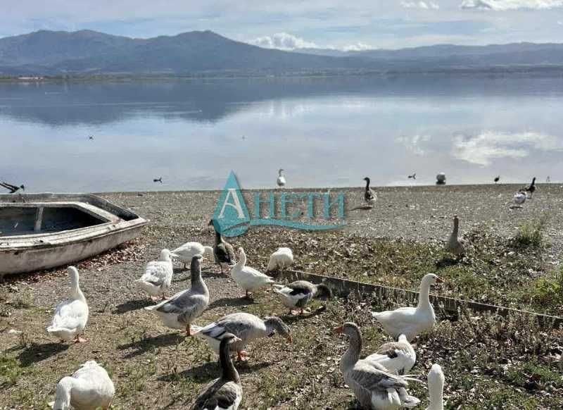 Продава се Парцел в София, Гео Милев - 2000 кв.м за 8 €/кв.м - Снимка #9