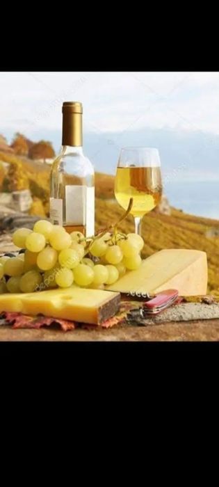 Avem struguri de vin de vrancea Producție 2025