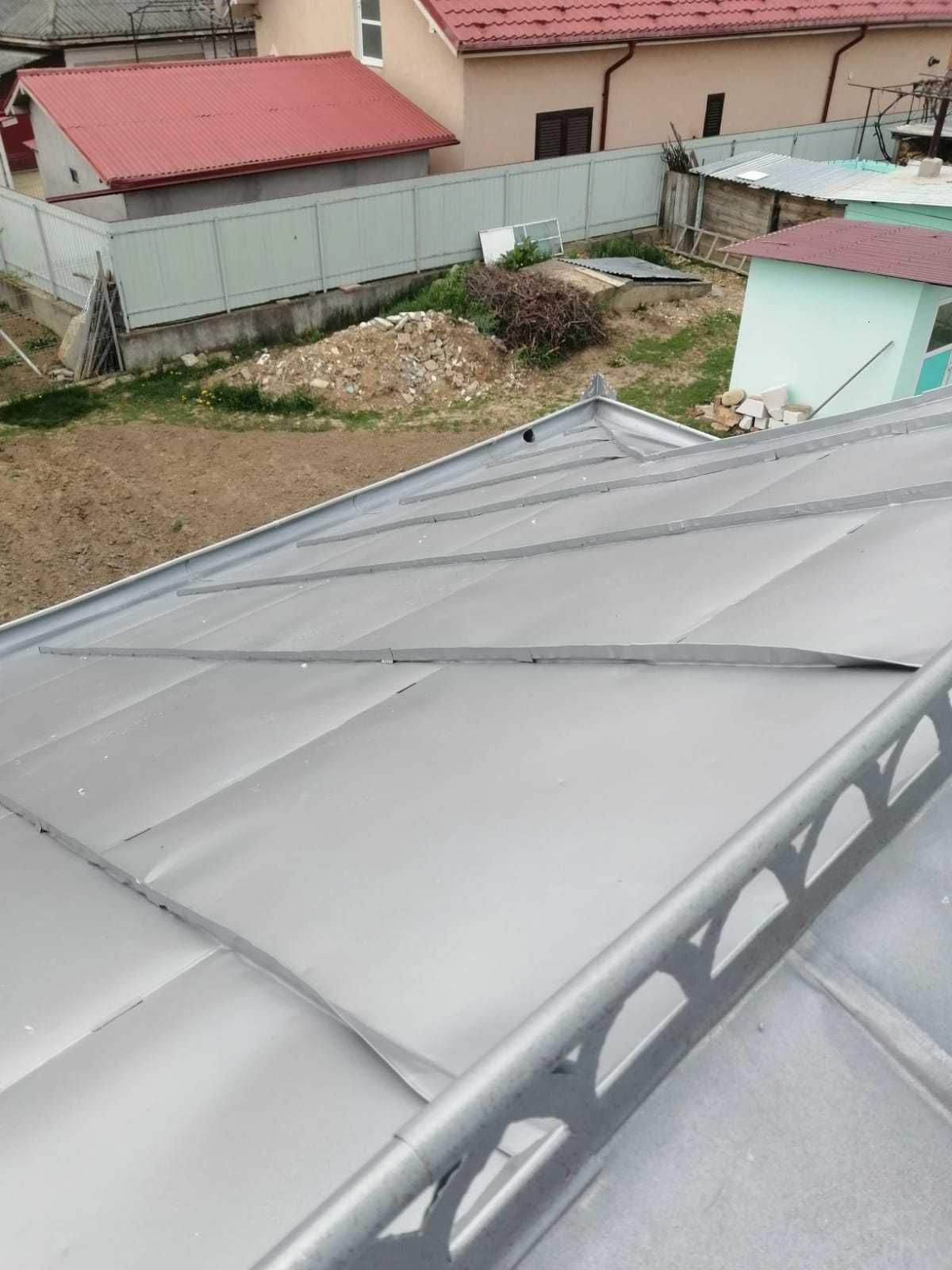 Vopsim orice tip de tabla pe casa, garduri, porti si alte suprafete