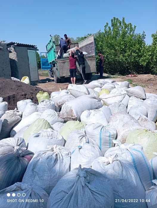 Biogumus sotiladi optim narxda