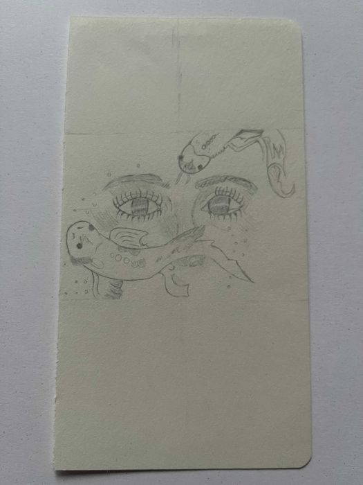 Графика на очи и риби Кой