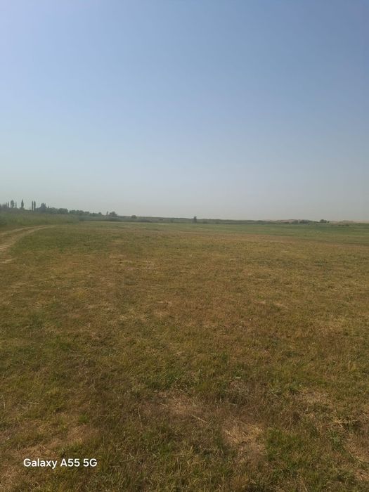 Суармалы жер сатылады 12 гегтар