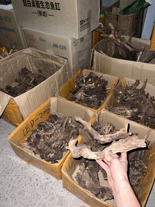 Коряги разного размера и вида