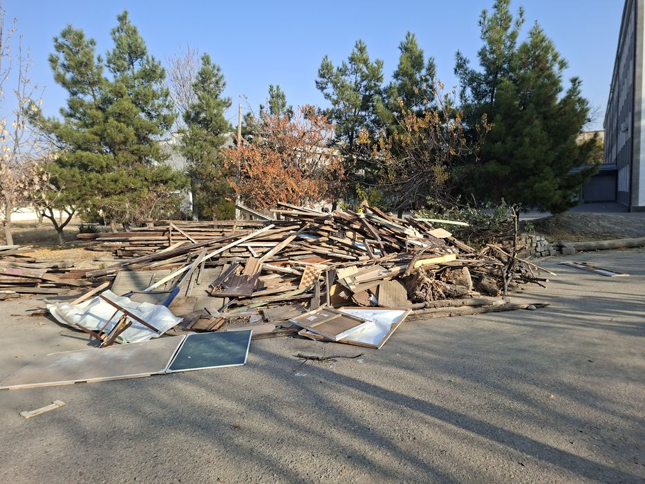 Yogoch strapillar bor otinga kim ishlatsa Tosh sh