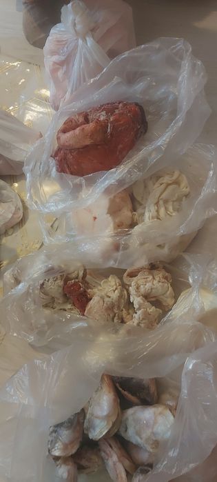 Отдам даром курдюк