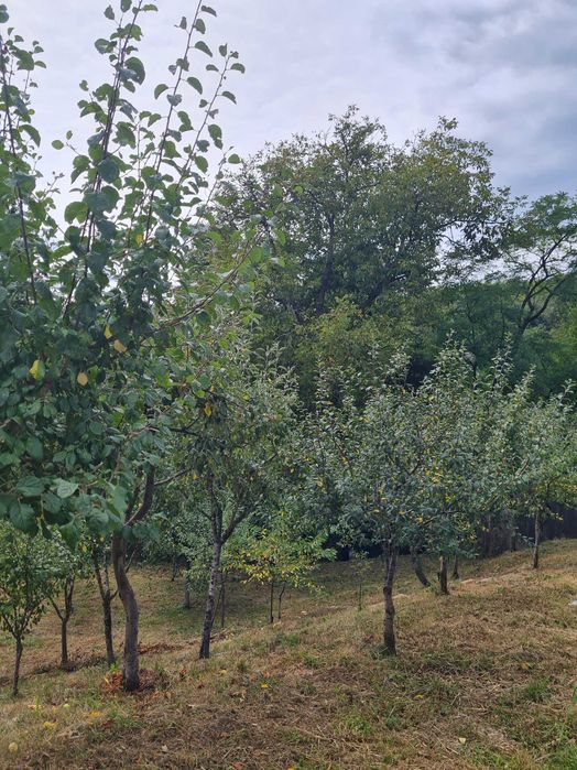 Vând teren intravilan