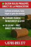 GAZON rulou proaspat /15 lei m²