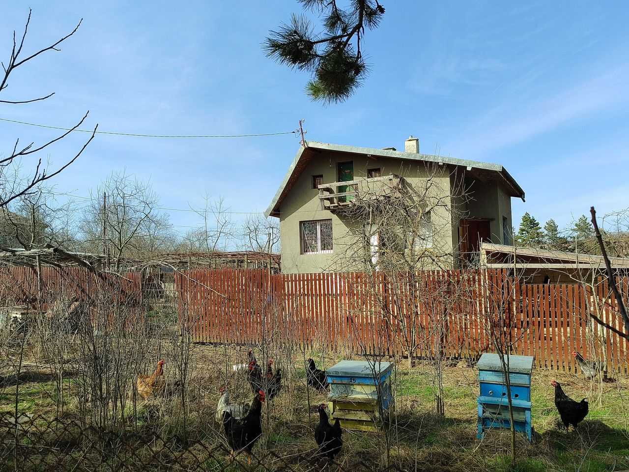 Продава се Къща в с. Владимирово, Област Добрич - 90 кв.м за 312 €/кв.м - Снимка #4