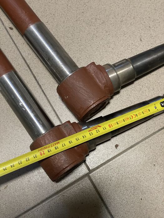 Fuzeta legumicol l 445