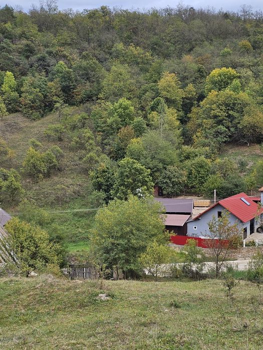 Teren casă sau cabană !!
