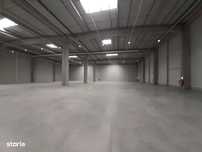 Bd. Th. Pallady - 3400mp si 800mp - ISU - comision 0