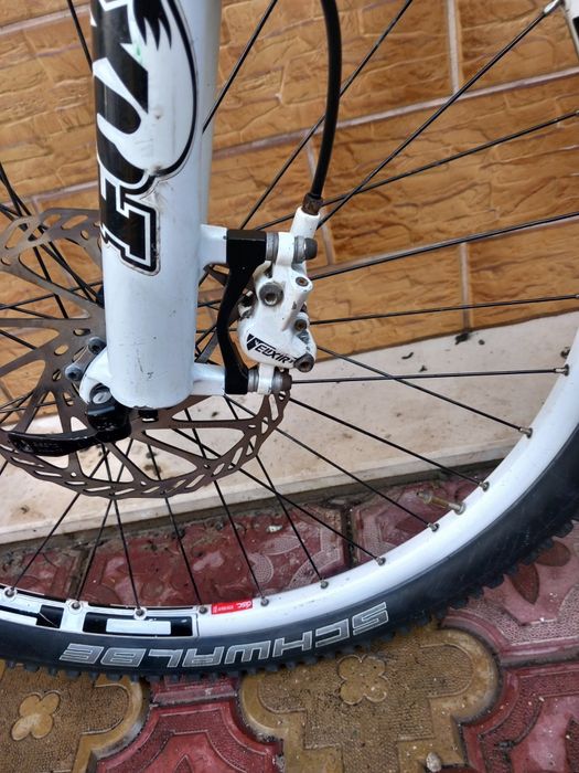 Focus 26 цола. .