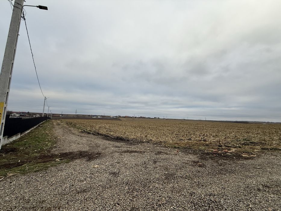 Vand loturi de 1000 mp teren intravilan in Catamaresti Deal