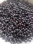 Aronia de vânzare(25 lei /kg) in Ucea de Jos -jud. Brașov