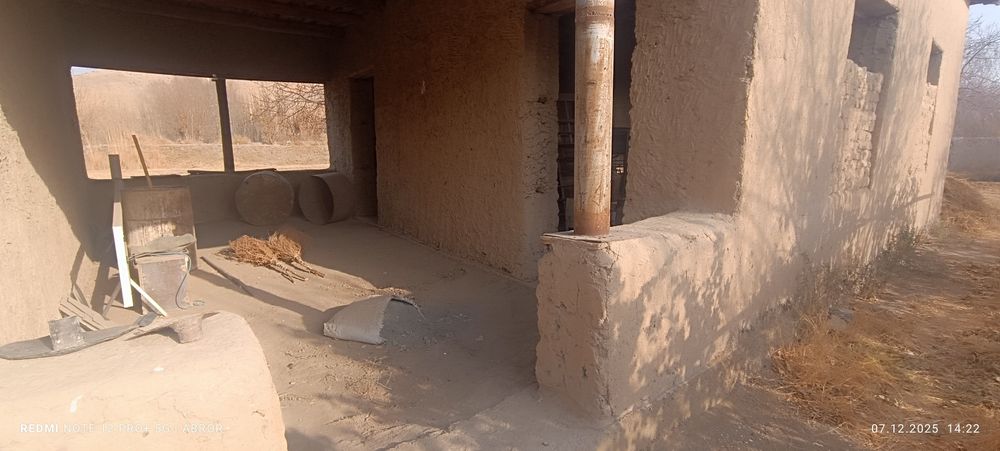 Navbaxor 29 sutiqlik xovli