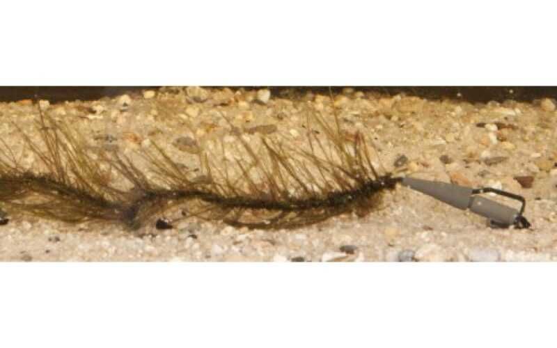 Хипи лидкор – Anaconda Hippie Leadcore 10м