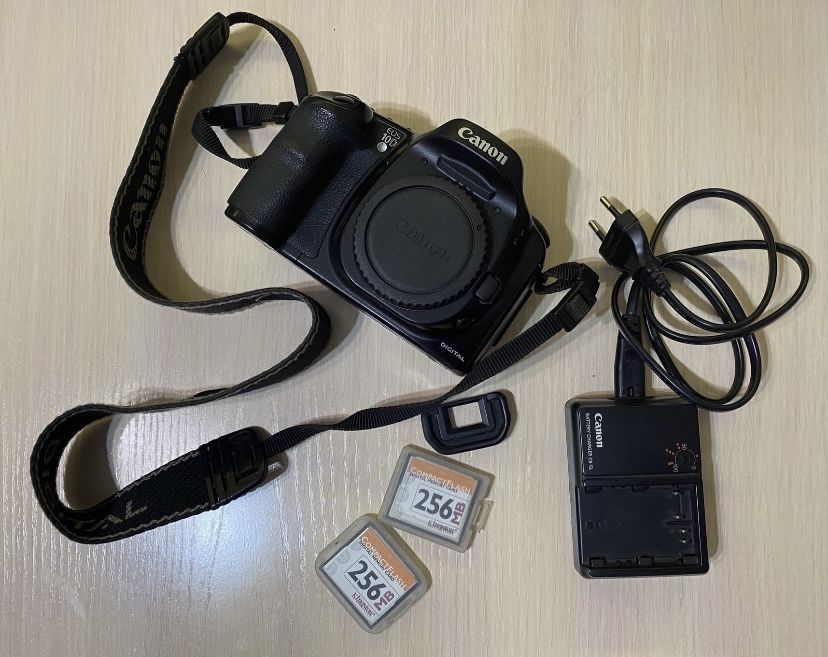 CANON DS6031 (EOS 10D)