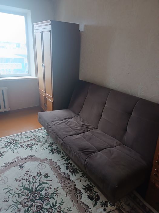 Отдам. Самовывоз.