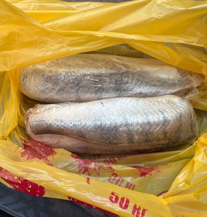 Судак свежий замороженный