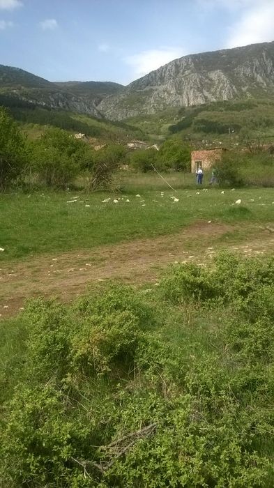 Продава се Къща в с. Челопек, Област Враца - 10 кв.м за 3570 €/кв.м - Снимка #2