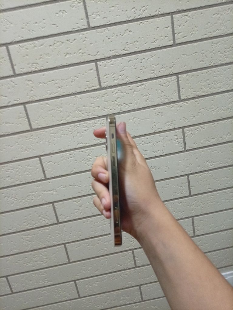 Iphone 12 pro LL/A