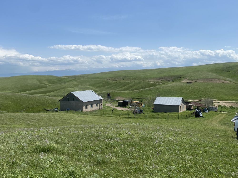 Продам фазенду срочно