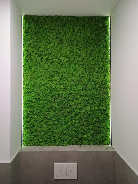 Декоративни пана със Скандинавски мъх