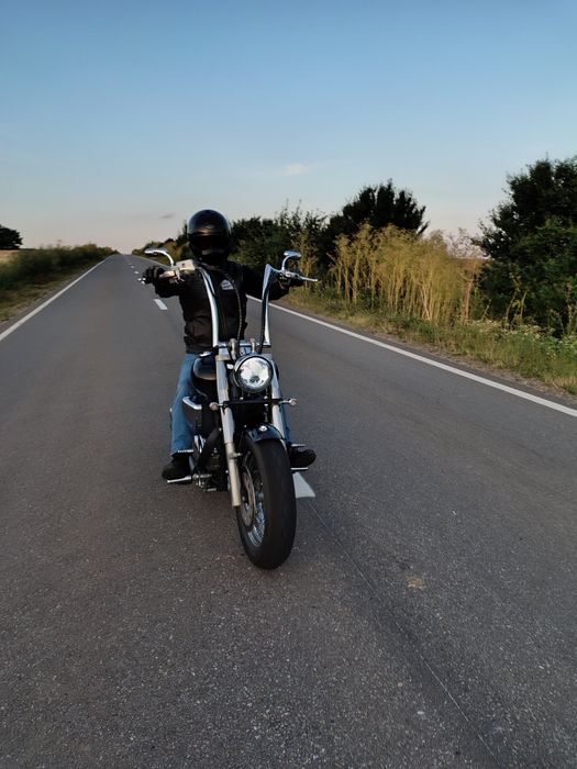 Suzuki c800/c50 intruder bobber