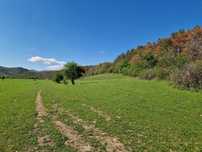 Teren de vanzare. 5000mp