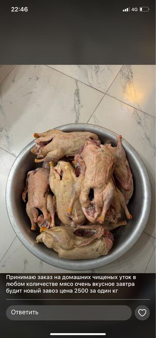 Продам  домашних чищеных уток в любом количестве