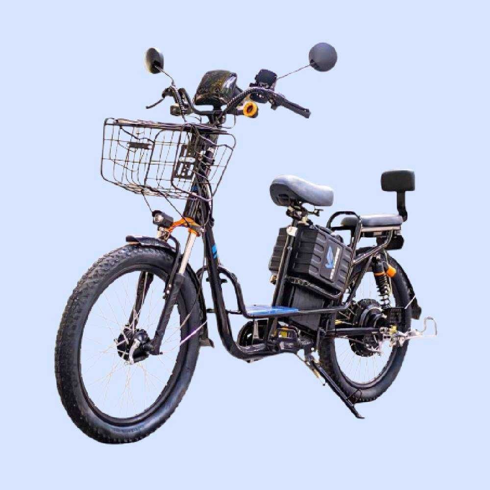 Elektroskuter Cavalo E-Bike 24