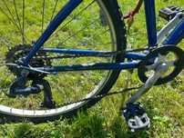 Bicicleta franțuzească de damă