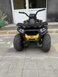 Електрическо ATV