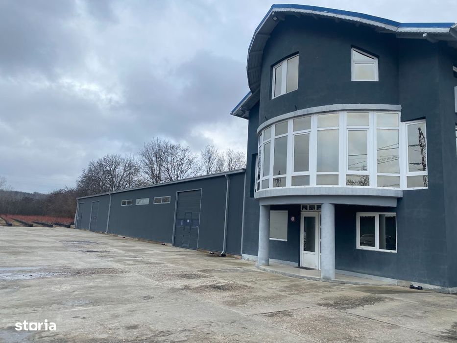 VIGAFON imob vinde hala frigorifica-spatiu depozitare-Boldesti-Scaeni