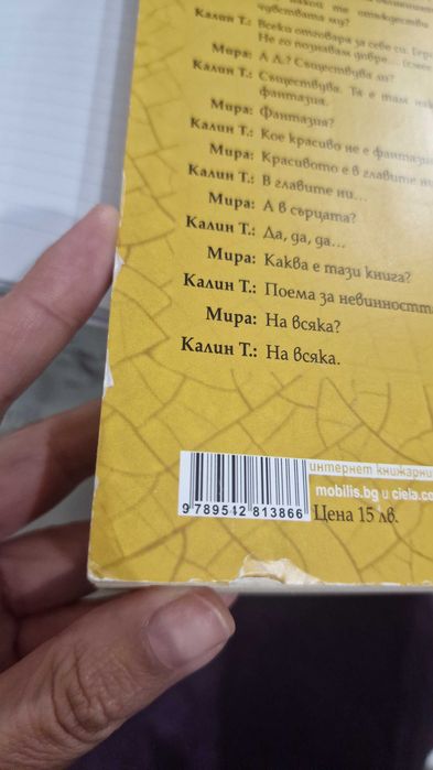 Любовта на 45-годишния мъж - Калин Терзийски