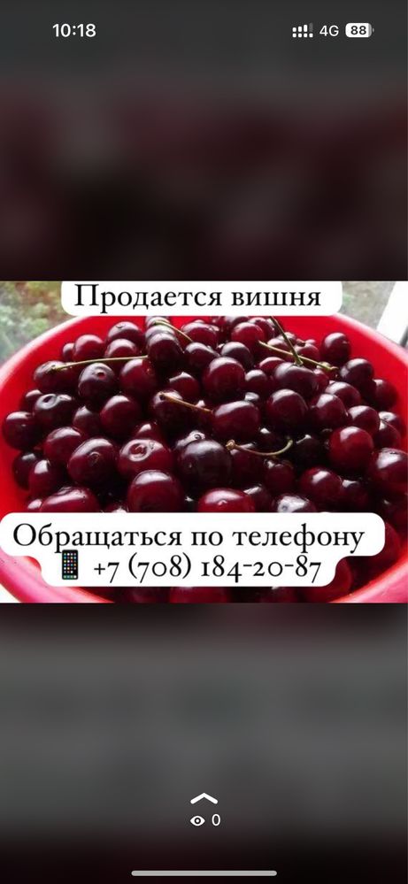 Продается вишня недорого