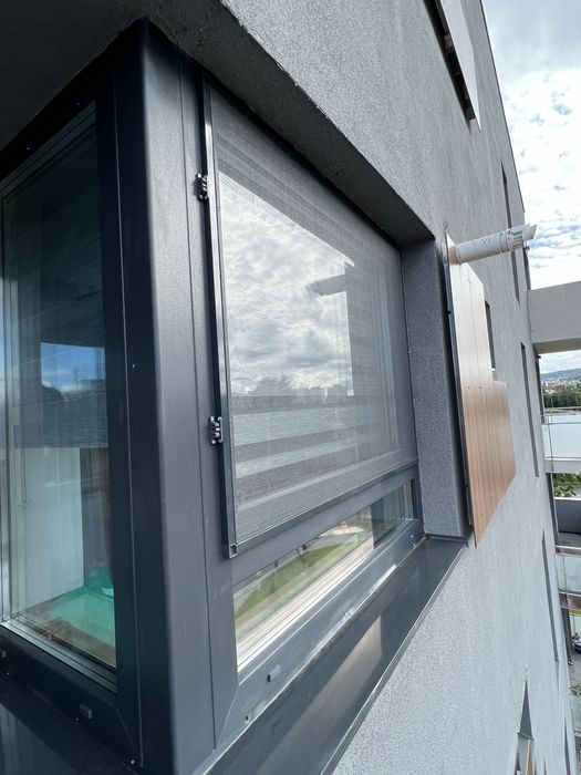 Plase tantari insecte la comanda Mures