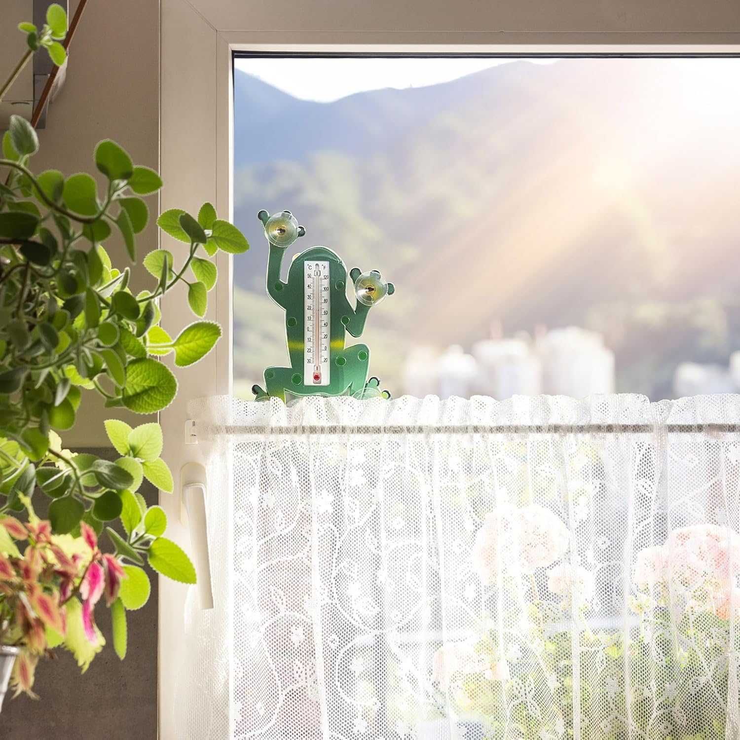 Broscuta meteo cu ventuze pentru geam rezistent la intemperii 24x18 cm